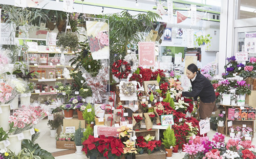 株式会社ジャパン・フラワー・コーポレーション